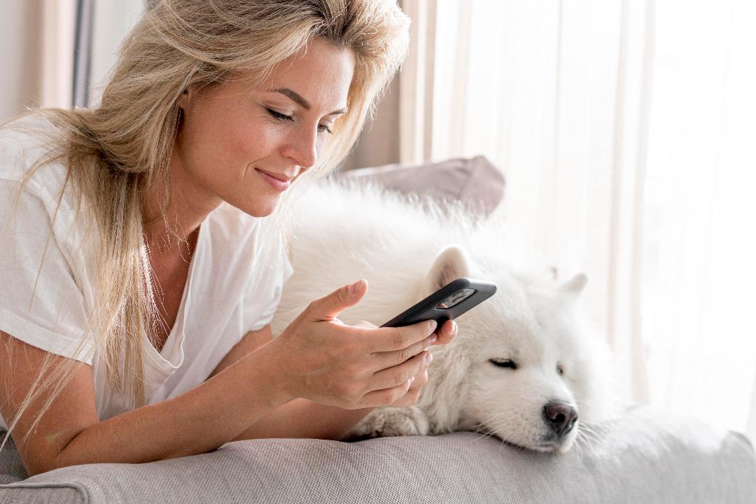 Mujer rubia consultando el móvil junto a su perro samoyedo blanco